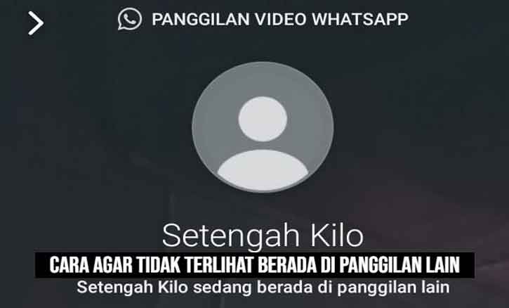 cara agar tidak terlihat berada di panggilan lain